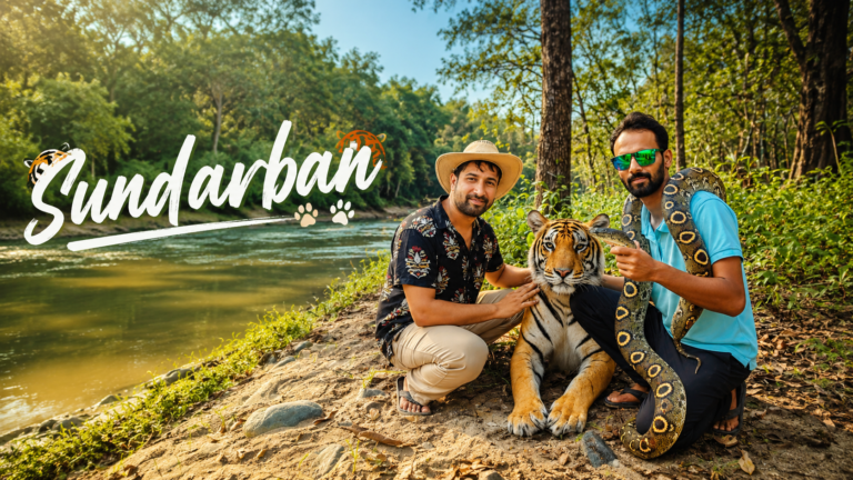 sundarban westbengal
